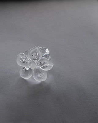 LEVENS / HIBISCUS Ring